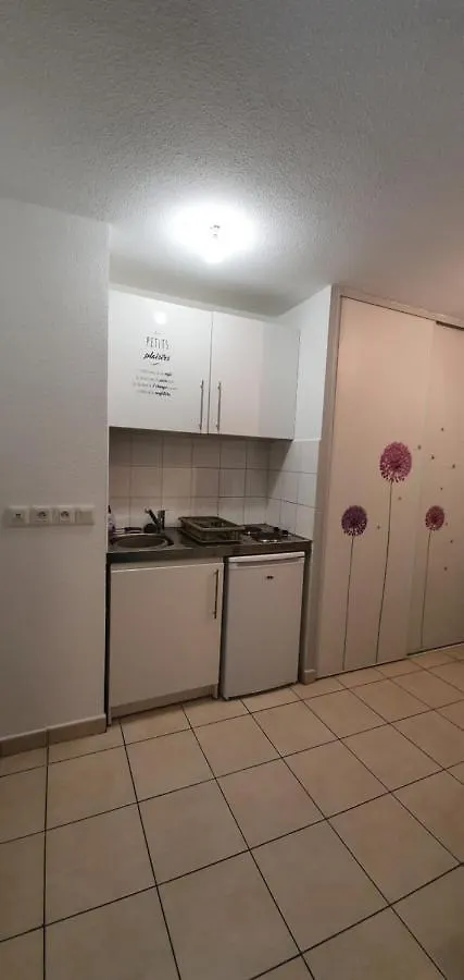 Villa Medicis Charmant Studio Climatise Port Riquier Acropolis Nice 0*,
